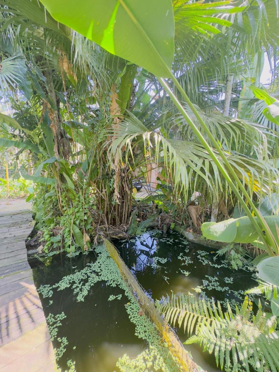 Casa Bali Villa Ubatuba Buitenkant foto