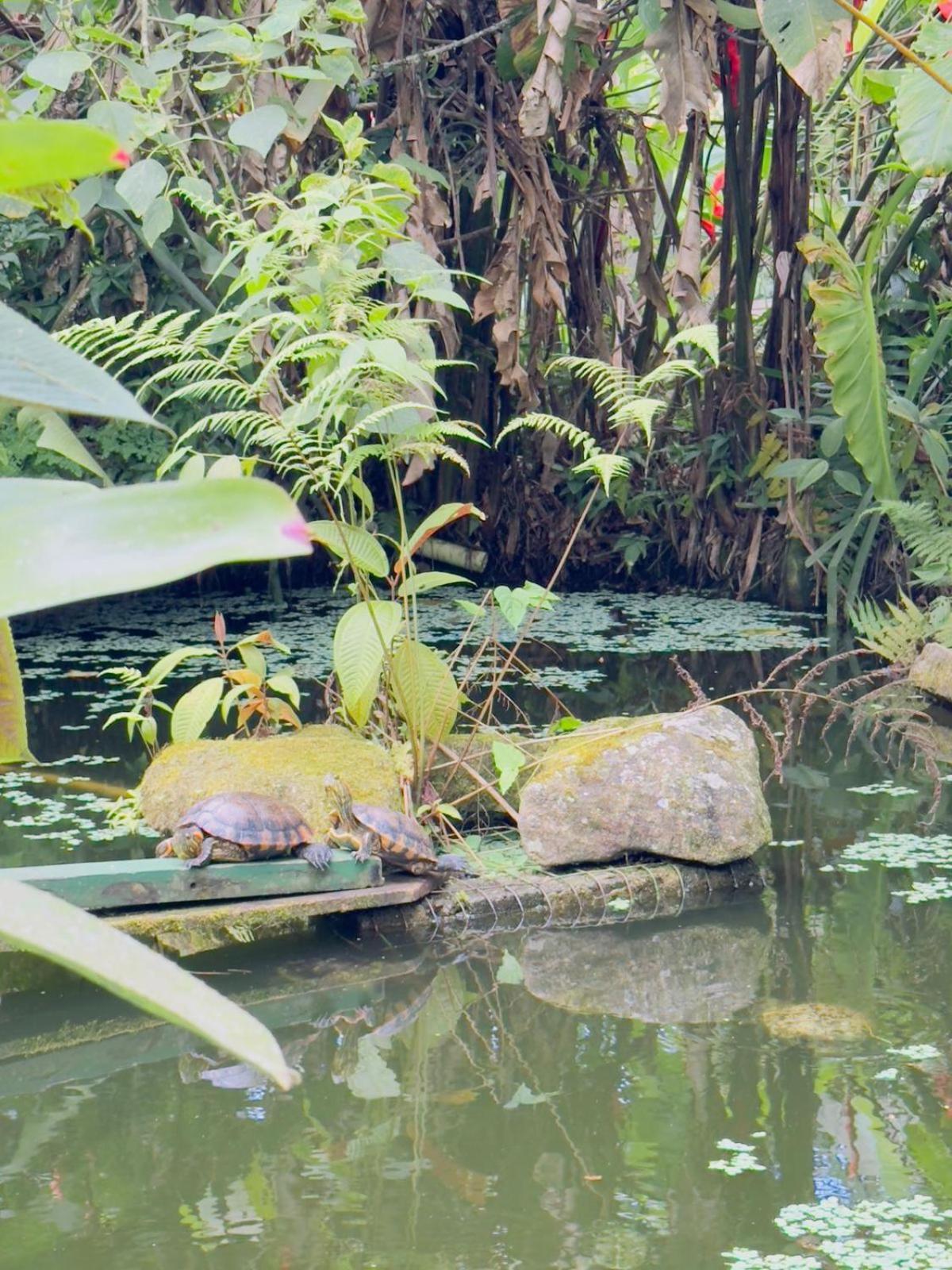 Casa Bali Villa Ubatuba Buitenkant foto